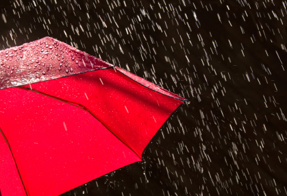 ฝนตก ฝนตก