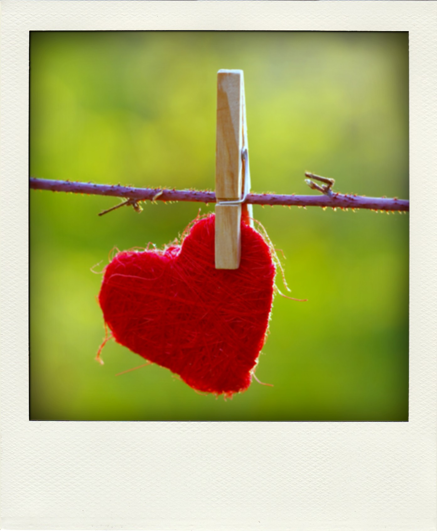 ความรัก ความรัก