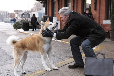 Hachi