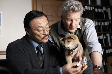 Hachi