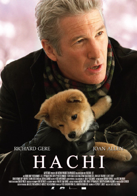 Hachi