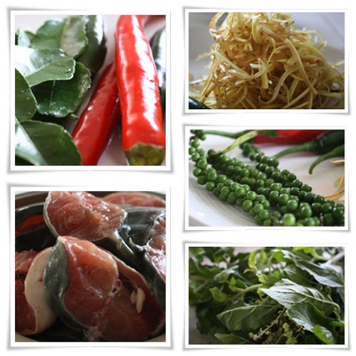 ผัดเผ็ดปลาดุกทอด กะเพรากรอบ