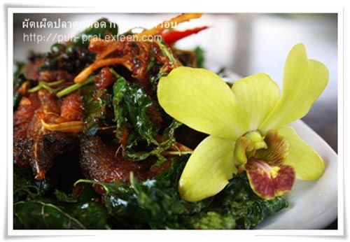 ผัดเผ็ดปลาดุกทอด กะเพรากรอบ