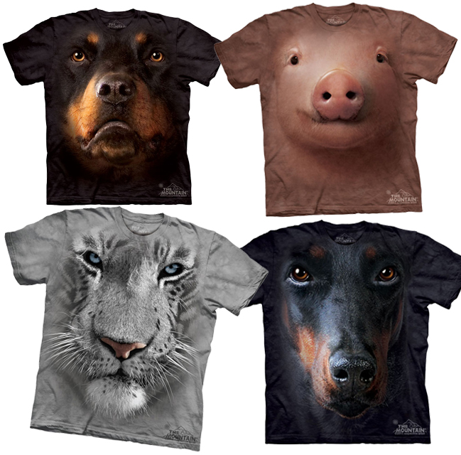 เสื้อยืด