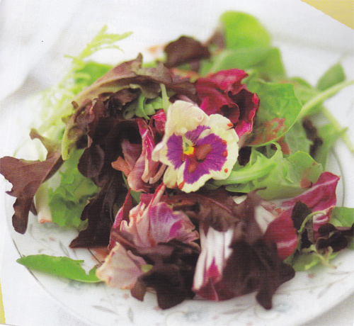 เมนูสลัดอิ่มเบาๆ สบายท้อง เพื่อสุขภาพ