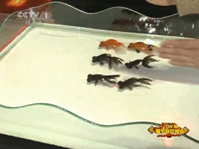 ปลาทองสวนสนาม ปลาทองสวนสนาม