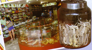 เยาวราช เยาวราช