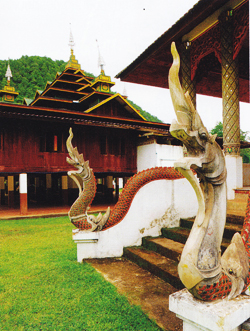 ปาย ปาย