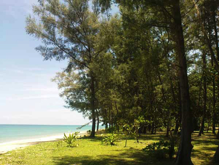 หาดท้ายเหมือง หาดท้ายเหมือง