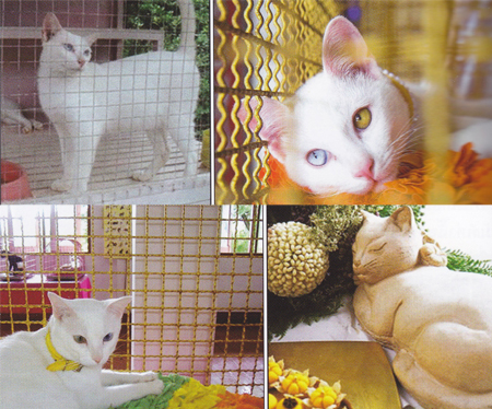 ท่องเที่ยว กรุงเทพ ท่องเที่ยว กรุงเทพ