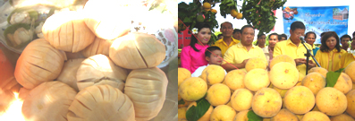 งานเทศกาลกระท้อนหวาน งานเทศกาลกระท้อนหวาน