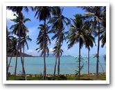หาดขนอม หาดขนอม