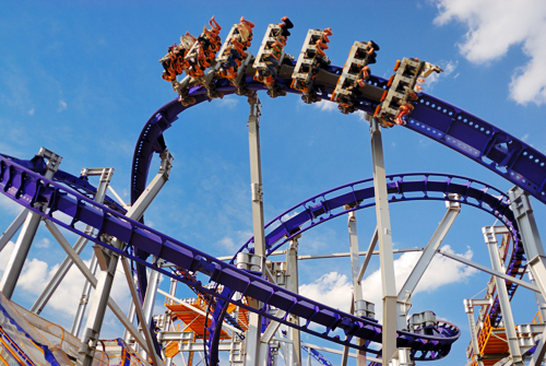 Busch Garden Busch Garden