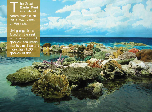 Great Barrier Reef Great Barrier Reef