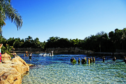 Discovery Cove Discovery Cove