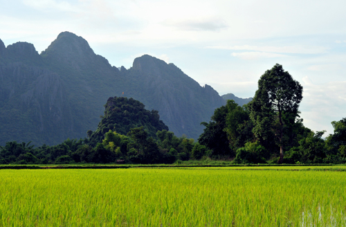 ลาว ลาว