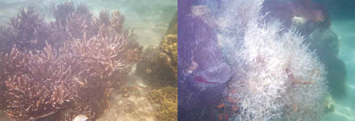 อุทยานแห่งชาติหาดวนกร อุทยานแห่งชาติหาดวนกร