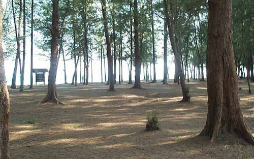 อุทยานแห่งชาติหาดวนกร อุทยานแห่งชาติหาดวนกร