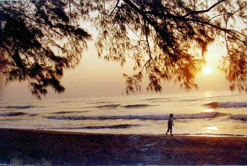 อุทยานแห่งชาติหาดวนกร อุทยานแห่งชาติหาดวนกร