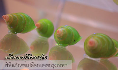 พิพิธภัณฑ์เปลือกหอย