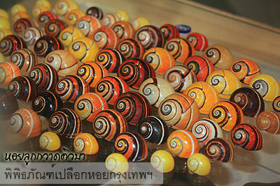 พิพิธภัณฑ์เปลือกหอย