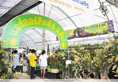 แอร์ออร์คิดส์