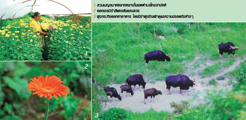 ท่องเที่ยว ท่องเที่ยว