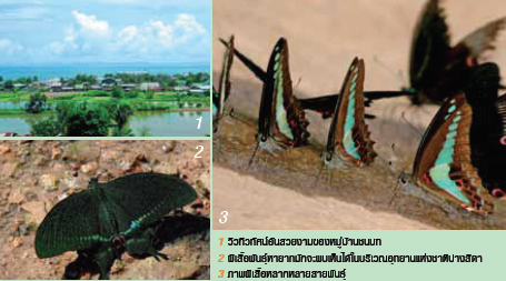 ท่องเที่ยว ท่องเที่ยว