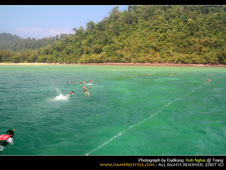 เกาะไหง