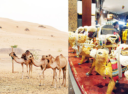 โอมาน Oman โอมาน Oman