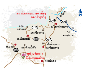 พญาเสือโคร่ง พญาเสือโคร่ง