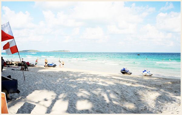 เกาะสมุย เกาะสมุย