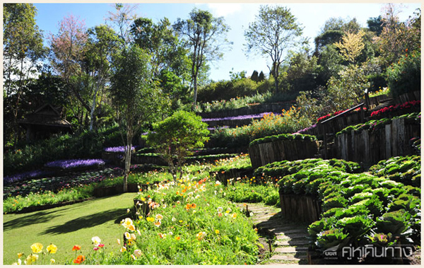 สวนรุกขชาติแม่ฟ้าหลวง สวนรุกขชาติแม่ฟ้าหลวง
