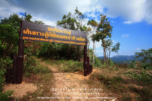 เขาช้างเผือก เขาช้างเผือก