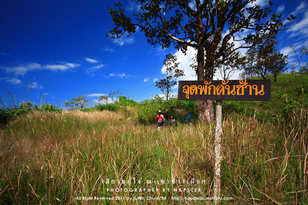 เขาช้างเผือก เขาช้างเผือก