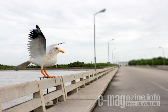 บางปู บางปู