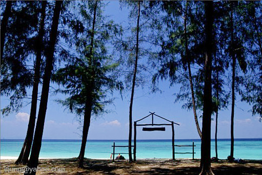 เกาะไม้ไผ่ เกาะไม้ไผ่