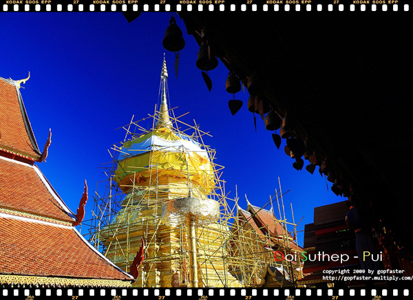 ดอยสุเทพ ดอยสุเทพ