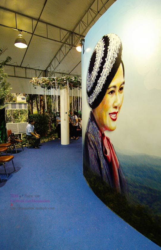 งานกาชาด