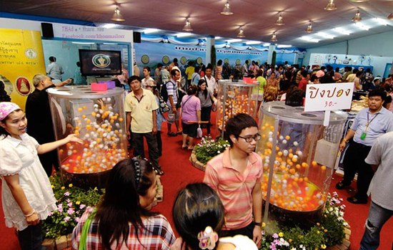 งานกาชาด