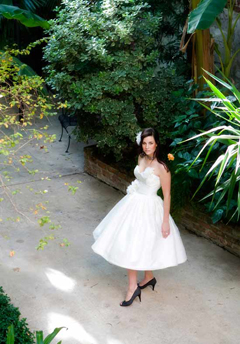 ชุดแต่งงาน ชุดแต่งงาน