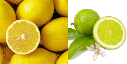 น้ำเลมอนและน้ำมะนาว น้ำเลมอนและน้ำมะนาว