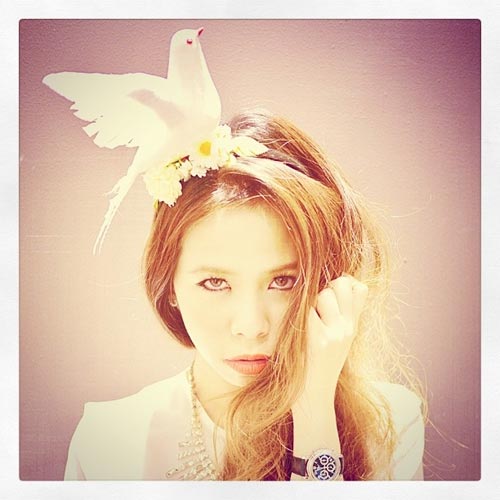 ที่คาดผมนก – ดอกไม้ โบฮีเมียน ที่คาดผมนก – ดอกไม้ โบฮีเมียน