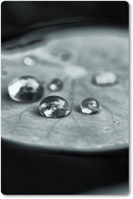 จะทำอย่างไร หากรักกับคนที่มีครอบครัวแล้ว จะทำอย่างไร หากรักกับคนที่มีครอบครัวแล้ว