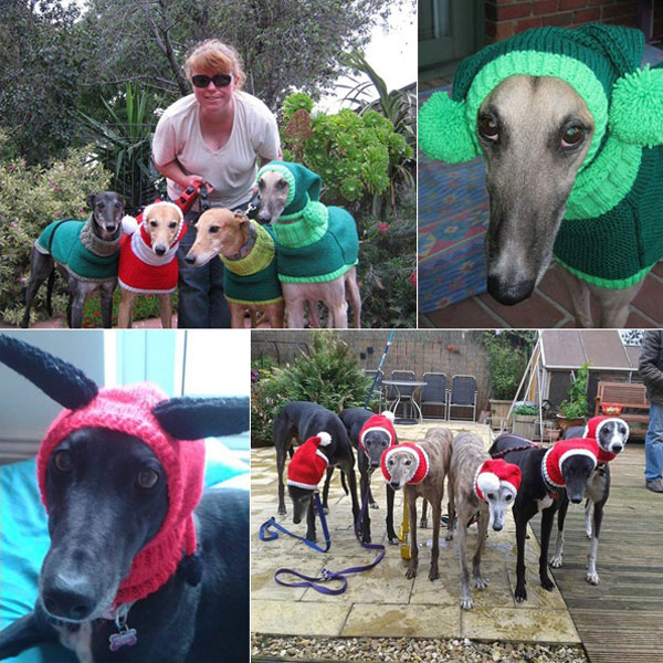 แม่พระตัวจริง หญิงวัย 52 ปี ลาออกจากงาน เพื่อถักเสื้อหนาวหมาจรจัด แม่พระตัวจริง หญิงวัย 52 ปี ลาออกจากงาน เพื่อถักเสื้อหนาวหมาจรจัด