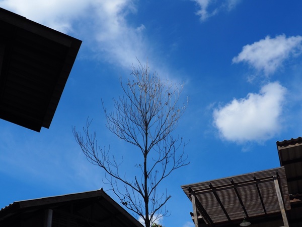 เที่ยวเชียงใหม่ เที่ยวเชียงใหม่