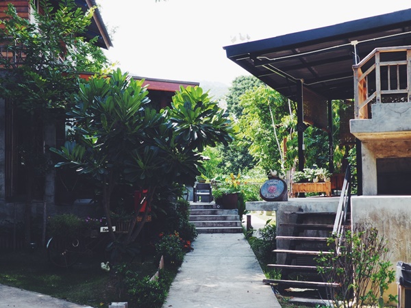 เที่ยวเชียงใหม่ เที่ยวเชียงใหม่