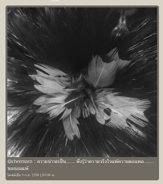 พลอย เฌอมาลย์ พลอย เฌอมาลย์