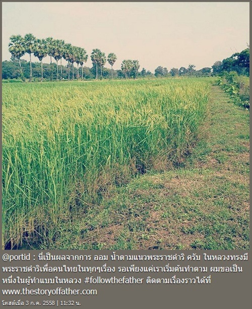 ปอ ทฤษฎี ปอ ทฤษฎี