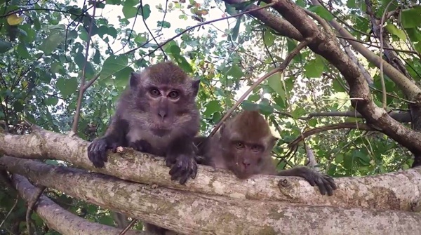 เที่ยวรอบโลกด้วยงบสุดประหยัด เที่ยวรอบโลกด้วยงบสุดประหยัด